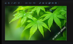 1790503150756.png